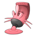 Kromakina Muldo de Génération 4