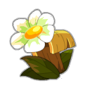 Écorce de Floribonde