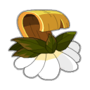 Écorce de Chiendent