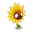 Tournesol