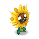 Tournesol