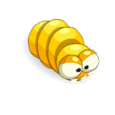 Larve Dorée