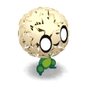 Pissenlit Diabolique