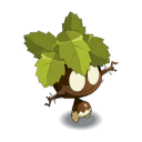 Bulbortie