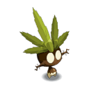 Bulbisauge