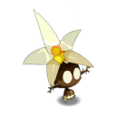 Bulbedelweiss