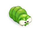 Larve Verte Solitaire