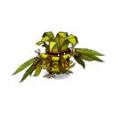 Silf le Rasboul Majeur