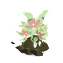 Germe de Dremoan