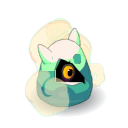 Krokille Novice Sèche