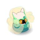 Krokille Mature Sèche